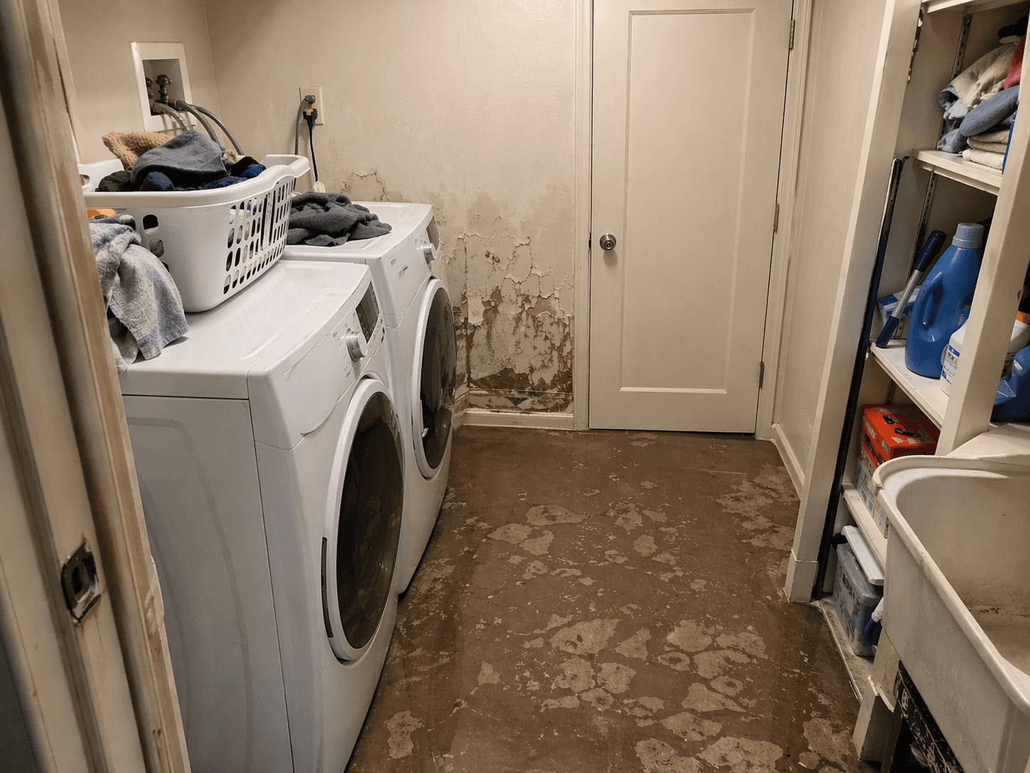 Seattle Water Damage Restoration photo 1 in Seattle